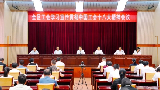 广西壮族自治区总工会召开全区工会学习宣传贯彻中国工会十八大精神会议