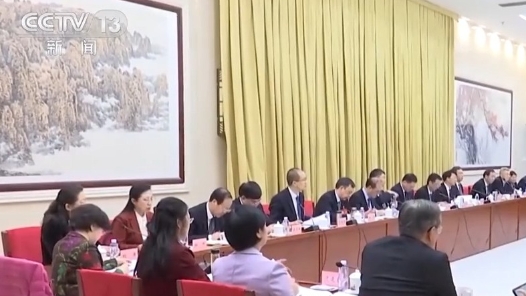 代表委员议国是丨为推进中国式现代化凝聚强大共识